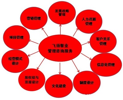 管理咨詢(xún)服務(wù)哪家強(qiáng)？專(zhuān)業(yè)信息咨詢(xún)機(jī)構(gòu)的選擇與考量
